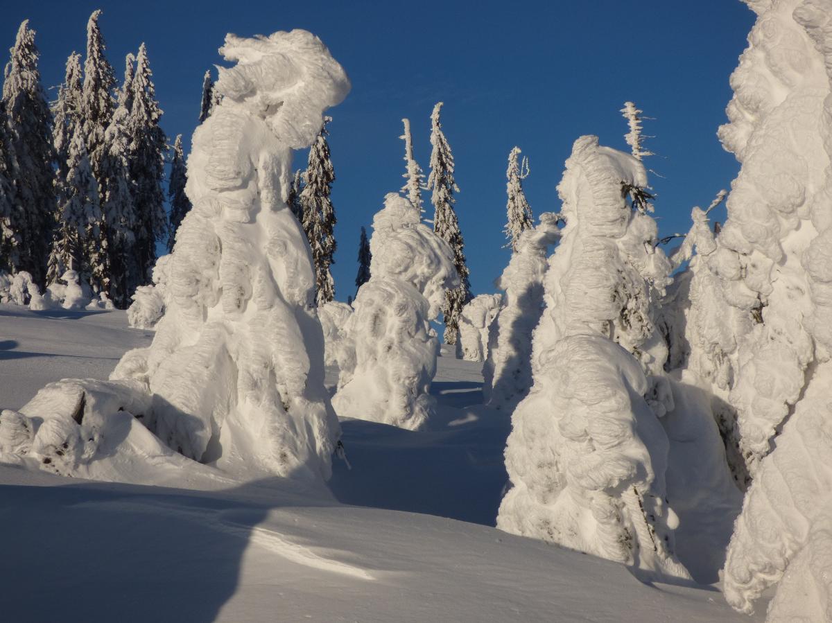 SportAlm_Arbermanderl