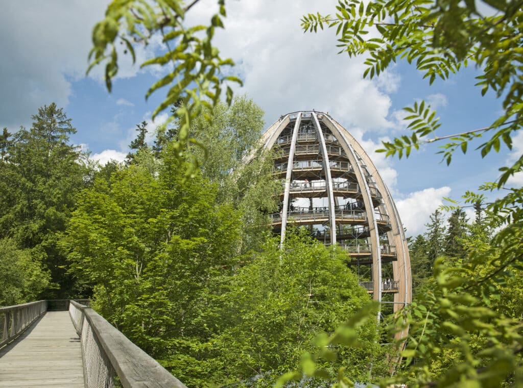Ein gewölbter Holzturm erhebt sich über grünen Bäumen, betrachtet von einem Waldweg unter einem teilweise bewölkten Himmel.