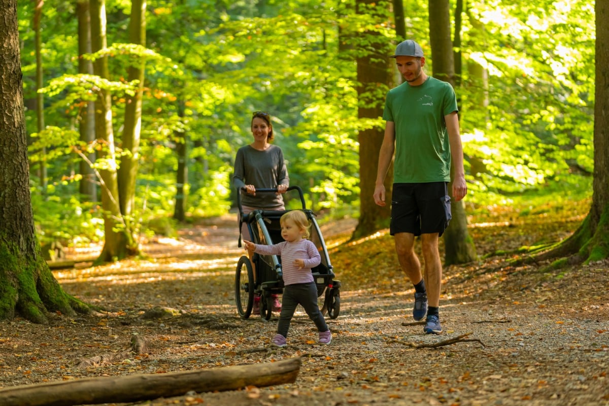 Eine Familie mit Kinderwagen und Kleinkind geht gemeinsam auf einem sonnenbeschienenen Waldweg spazieren beim Ausflug im Bayerischen Wald.