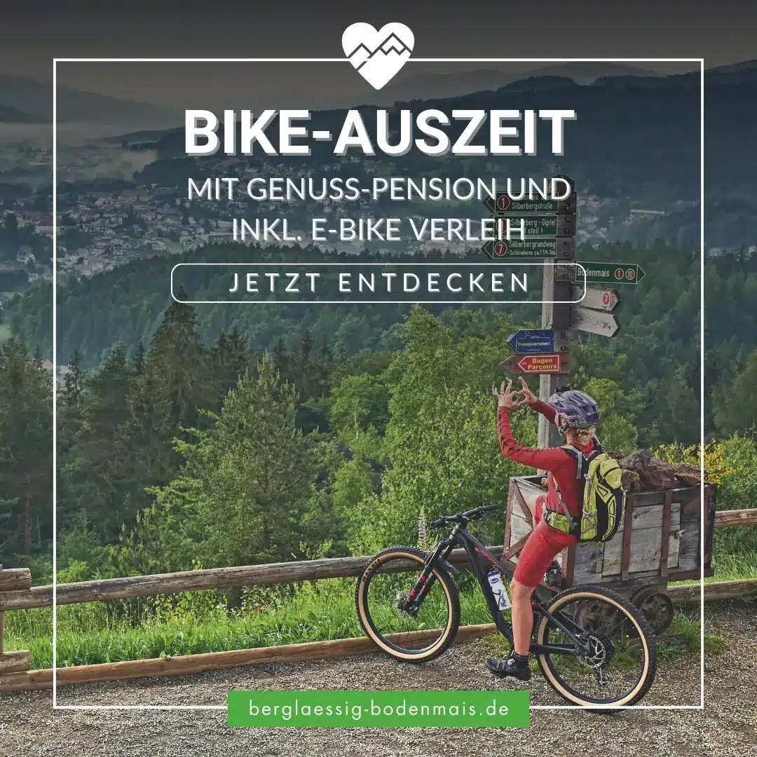 Ein Radfahrer mit einem vollgepackten Fahrrad macht an einem Aussichtspunkt über einem bewaldeten Tal und einer Stadt eine Pause.