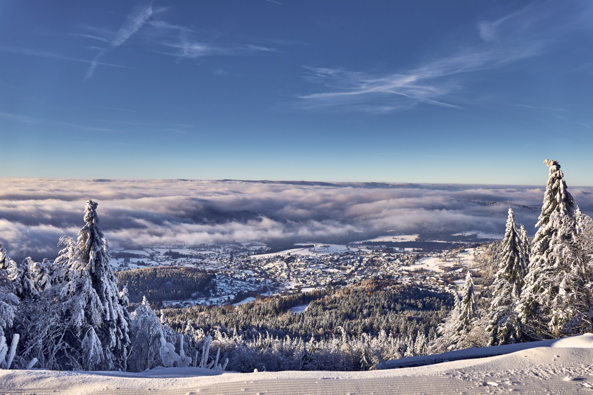 Schneebedeckte Bäume überblicken eine Stadt unter einem bewölkten Himmel, mit Bergen und blauem Himmel im Hintergrund.