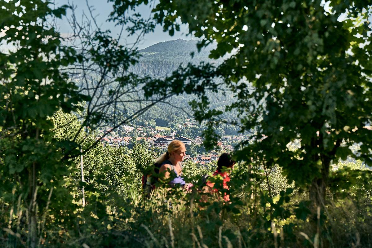 Wanderung Sternknöckel