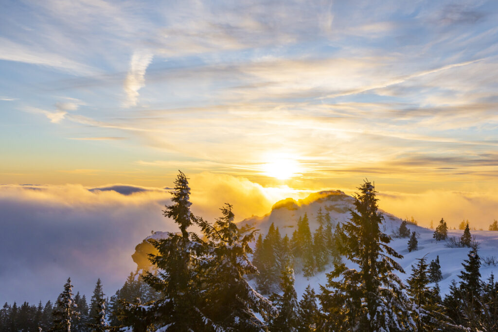 Schneeschuhwanderer im winterlichen Bayerischen Wald – aktiver Urlaub im Sporthotel Bayern