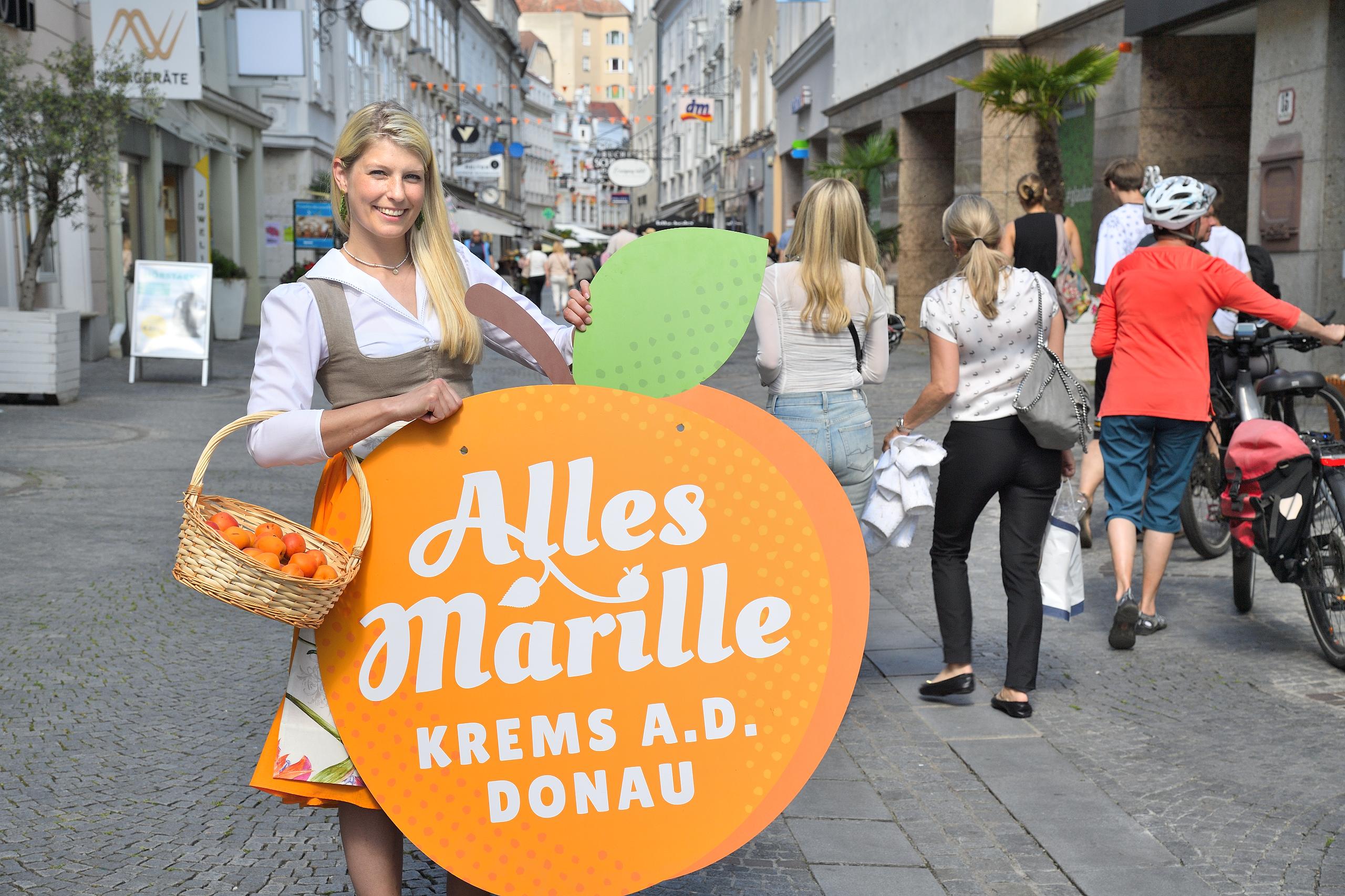 Wenzl Marillefest Krems