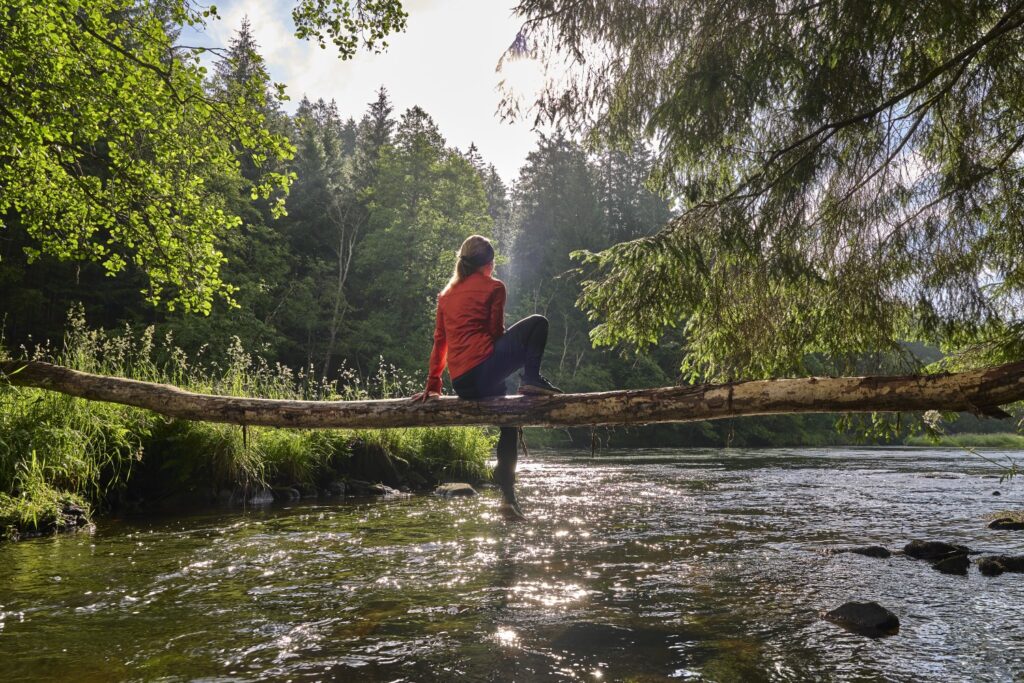 Rast am Bach im Bayerischen Wald