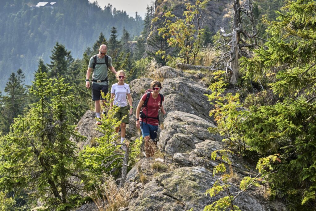 Wandergruppe auf dem Felsen im Bayerischen Wald