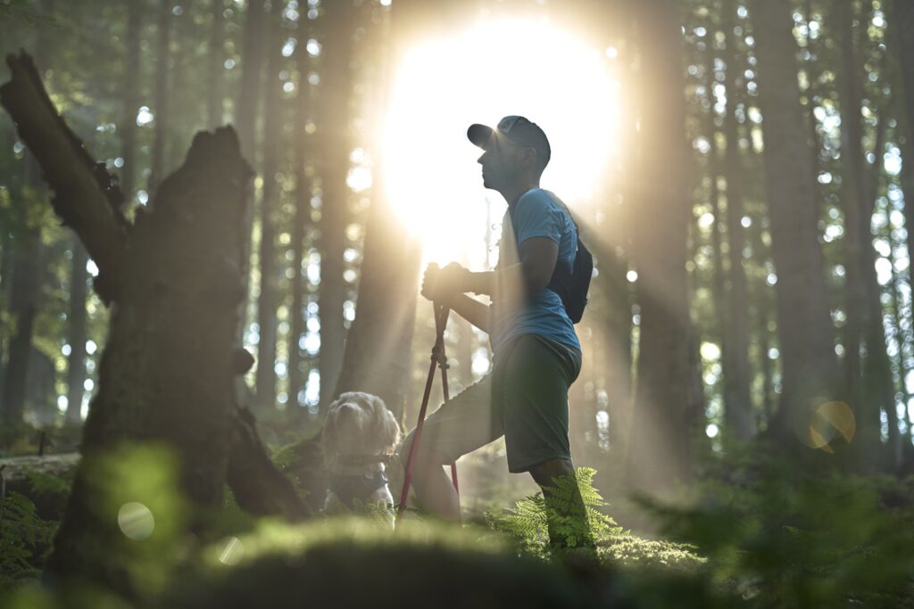 Wanderer im Wald bei Bodenmais