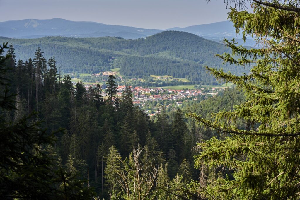 Blick ueber die Waelder auf Bodenmais