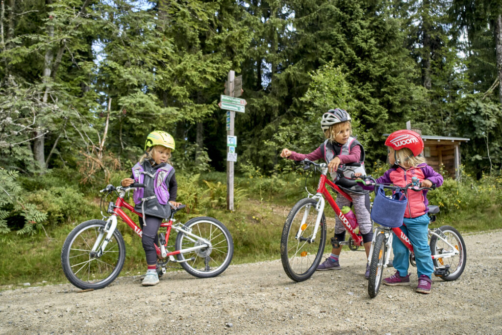 Familie mit Kindern auf dem Fahrrad im Bayerischen Wald
