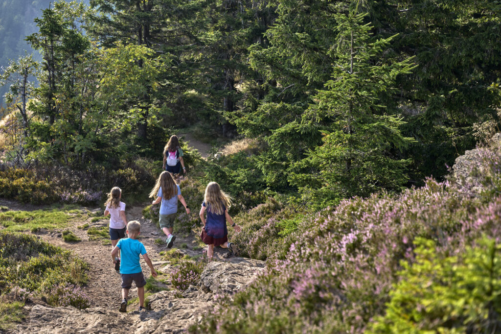 Familie mit Kindern beim Wandern im Bayerischen Wald bei Bodenmais
