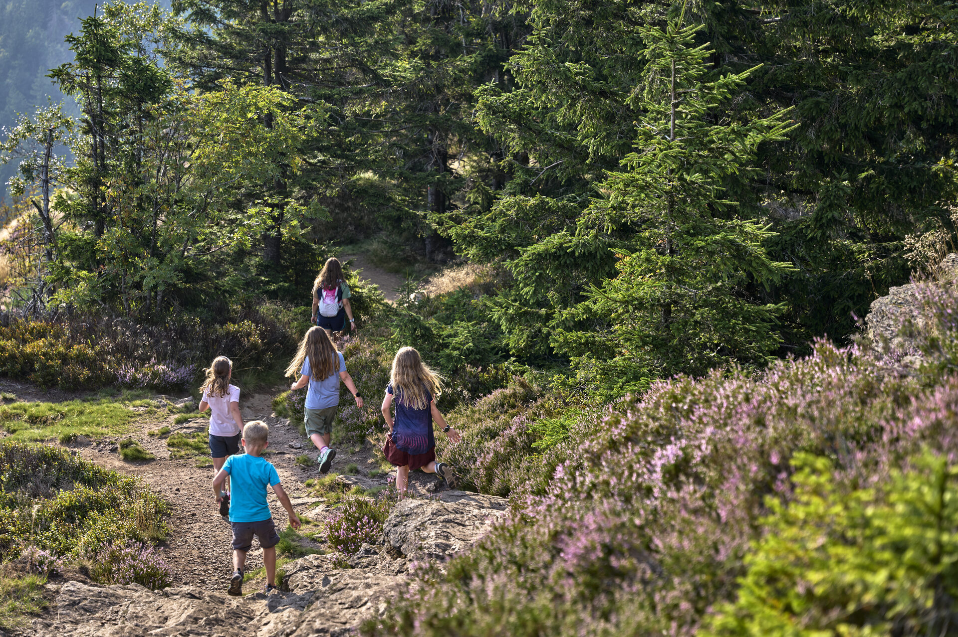 Familie mit Kindern beim Wandern im Bayerischen Wald bei Bodenmais