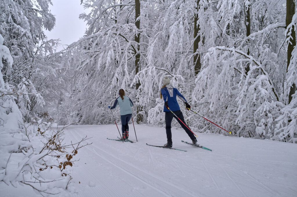Zwei Langläufer auf der Loipe im verschneiten Winterwald bei Bodenmais