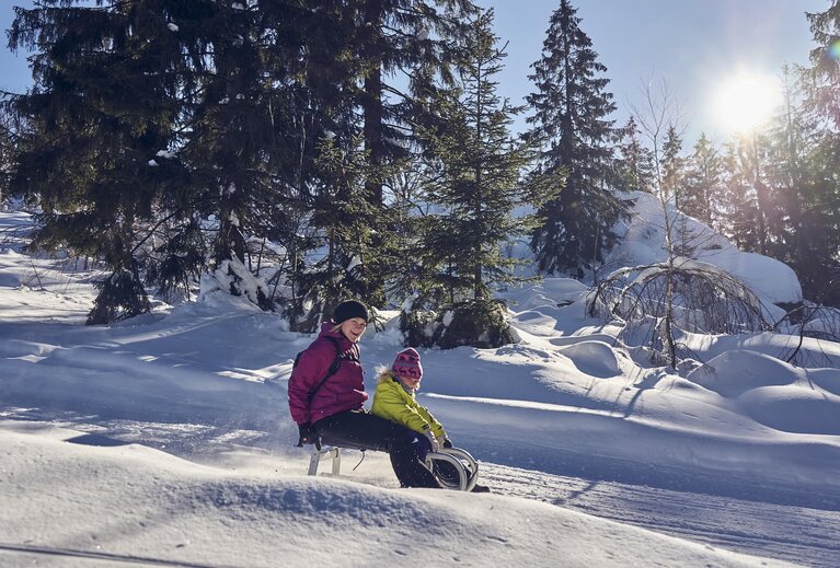Familie beim Rodeln im verschneiten Wald bei Bodenmais