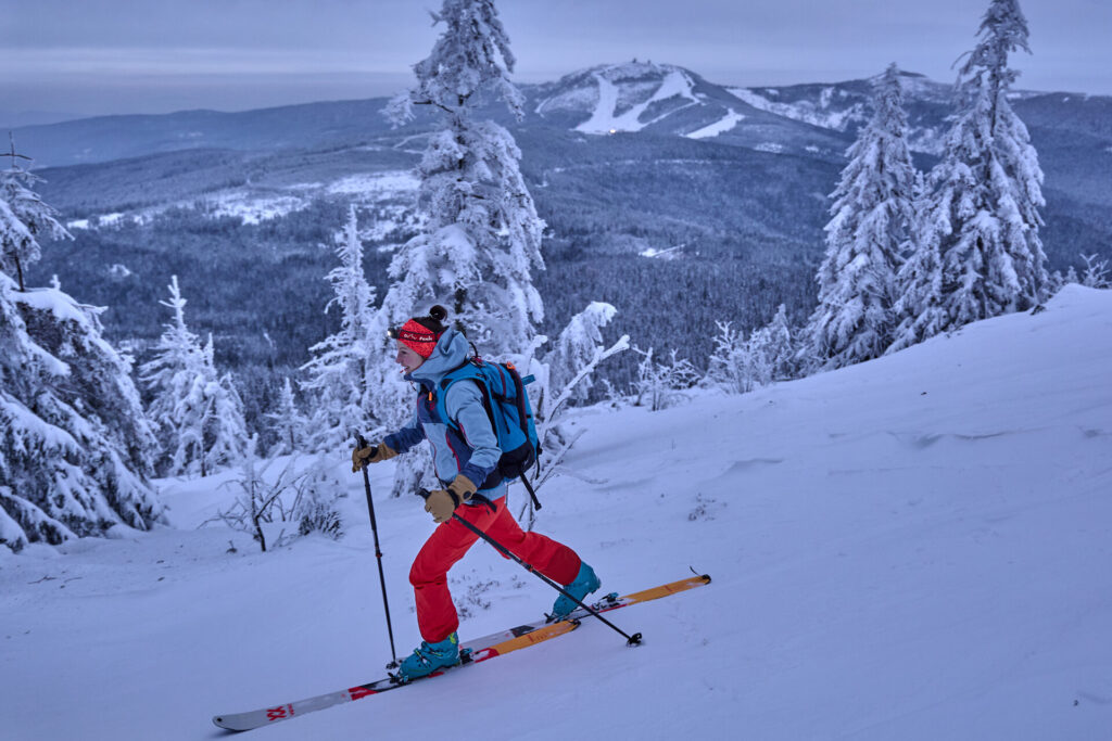 Skitourengeher beim Aufstieg im verschneiten Bayerischen Wald