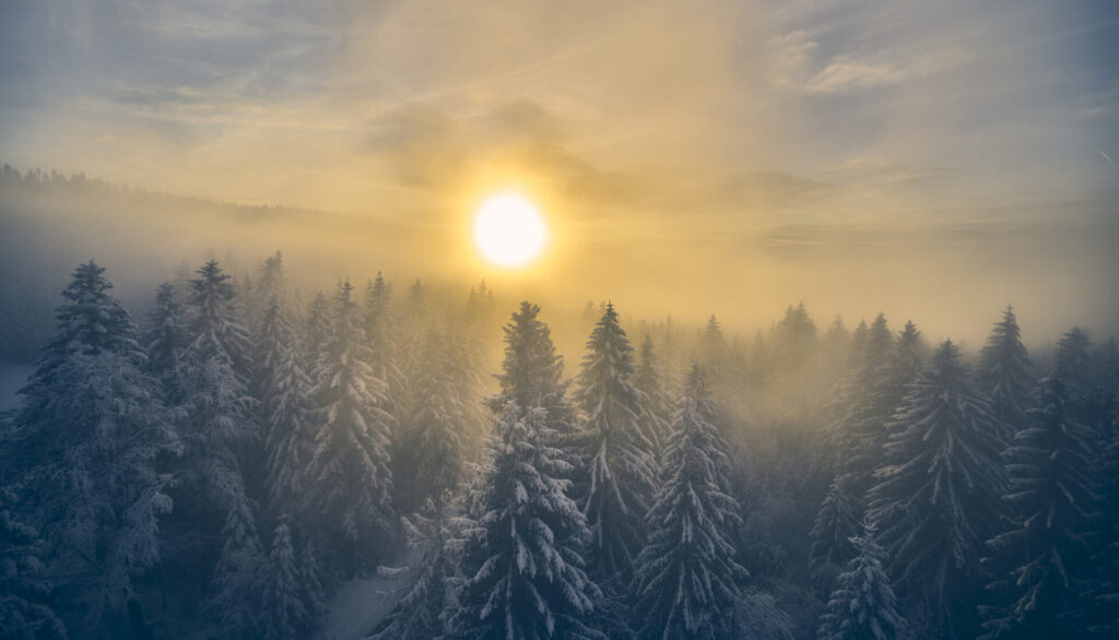 Verschneiter Wald im Nebel mit Sonne bei Bodenmais