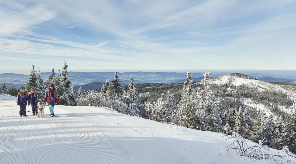 Winterwanderer auf dem verschneiten Höhenzug am Großen Arber