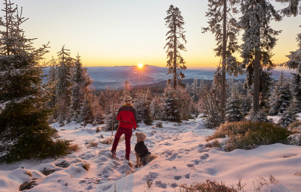 Winterwanderin mit Hund bei Sonnenuntergang im Bayerischen Wald